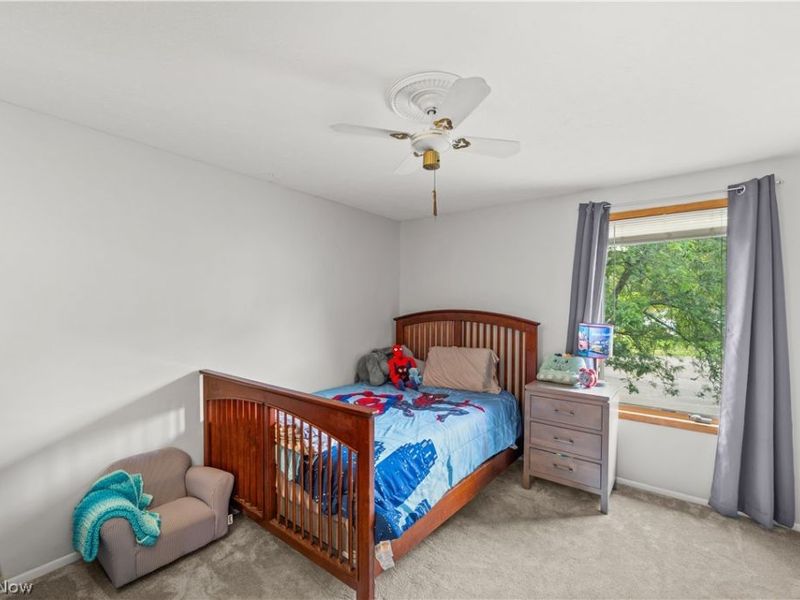 1960 Jo Ann Drive, Parma, OH 44134 Photo 30