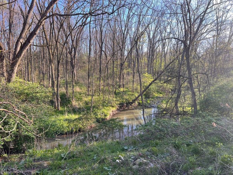 VL Lovers Lane, Spencer, OH 44275 Photo 7