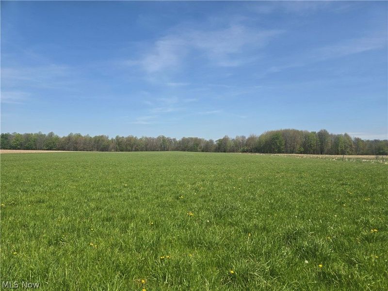 Tische Road, Jefferson, OH 44084 Photo 1