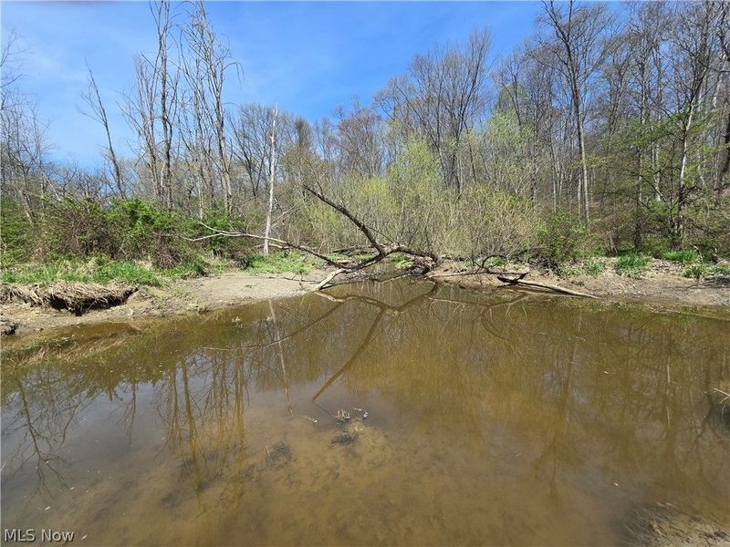 Tische Road, Jefferson, OH 44084 Photo 10