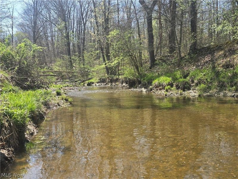 Tische Road, Jefferson, OH 44084 Photo 13