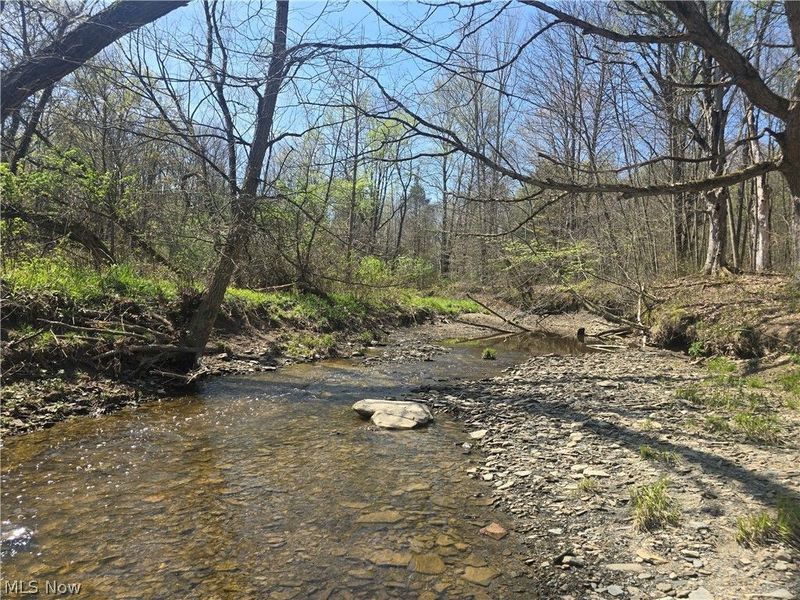 Tische Road, Jefferson, OH 44084 Photo 14