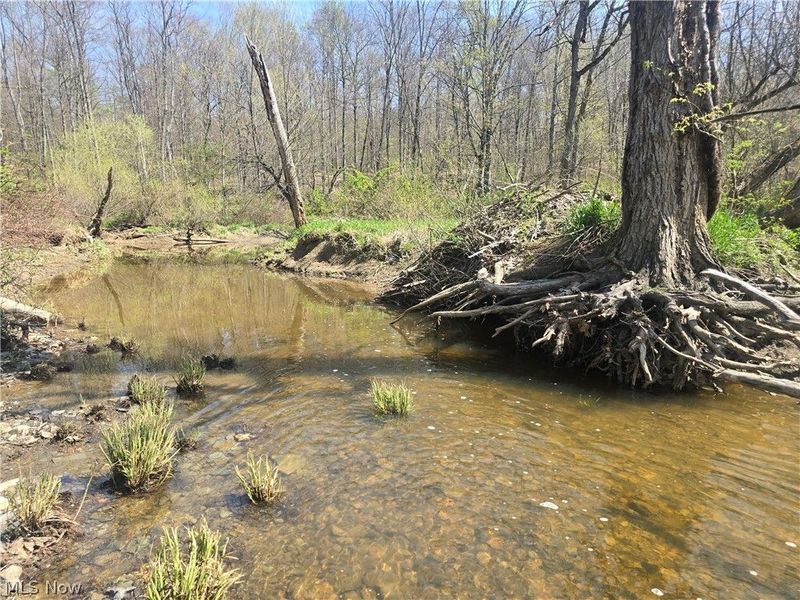 Tische Road, Jefferson, OH 44084 Photo 15