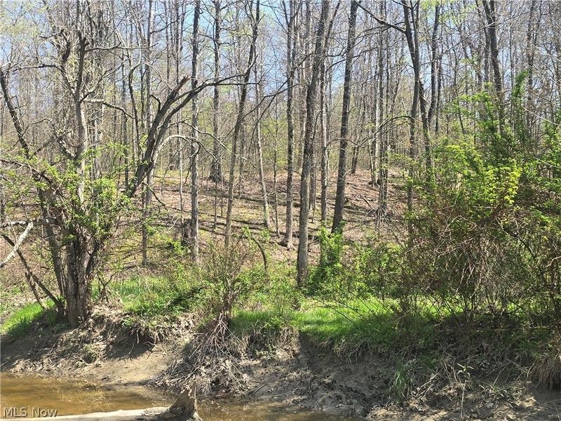 Tische Road, Jefferson, OH 44084 Photo 16