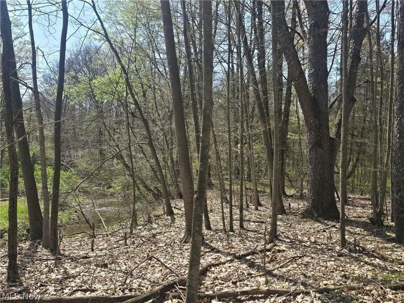 Tische Road, Jefferson, OH 44084 Photo 18