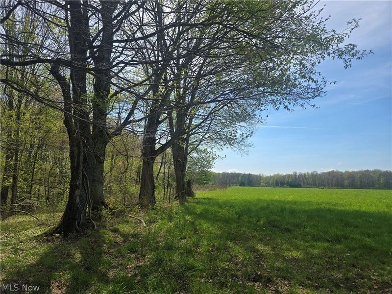 Tische Road, Jefferson, OH 44084 Photo 2