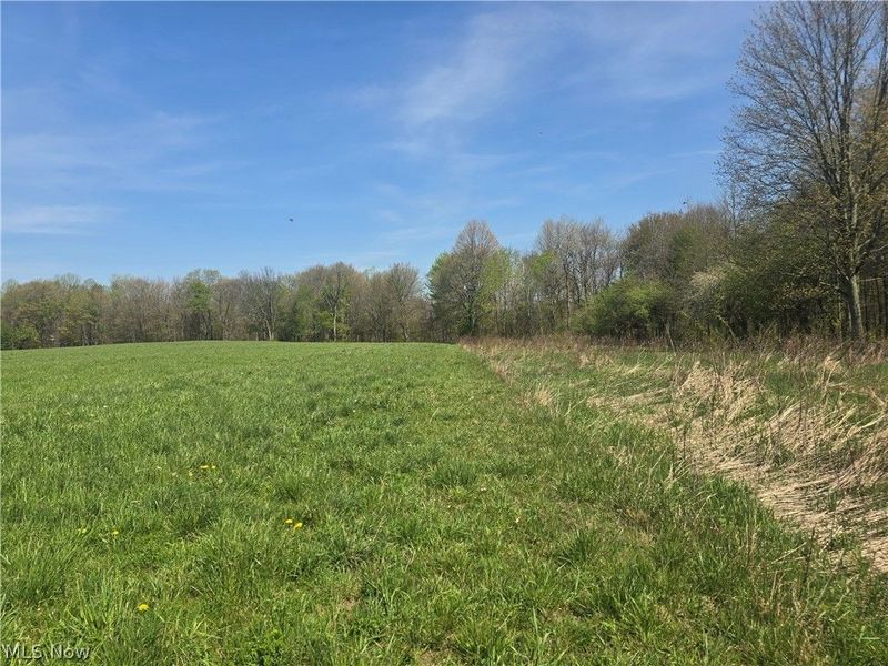 Tische Road, Jefferson, OH 44084 Photo 21