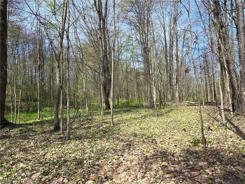Tische Road, Jefferson, OH 44084 Photo 4