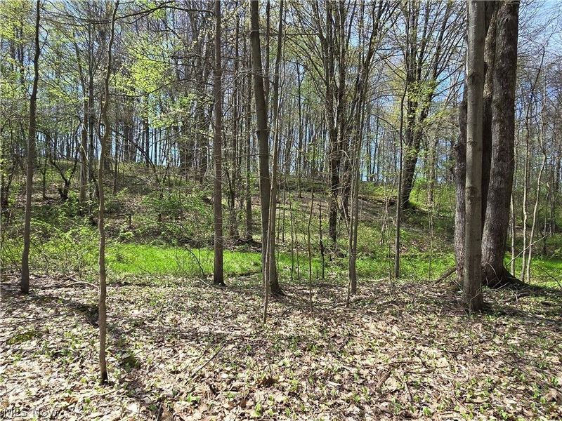 Tische Road, Jefferson, OH 44084 Photo 5