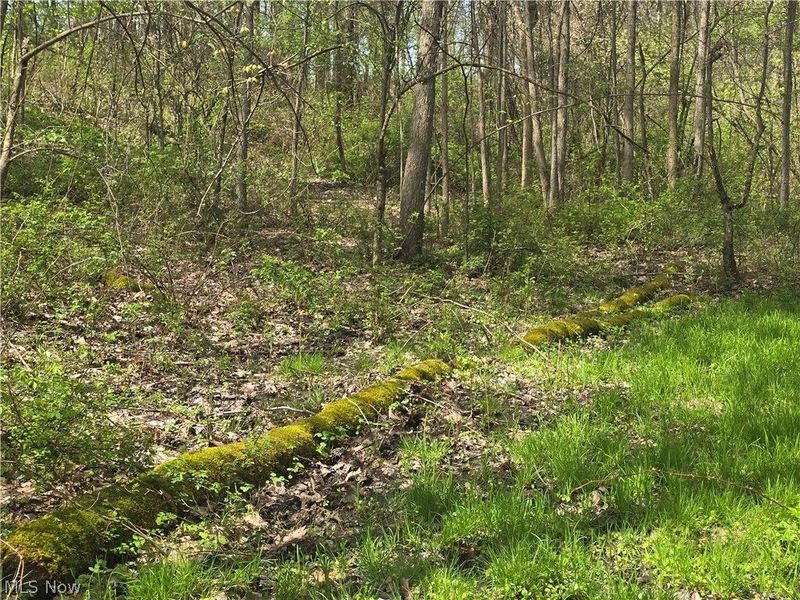 Tische Road, Jefferson, OH 44084 Photo 6