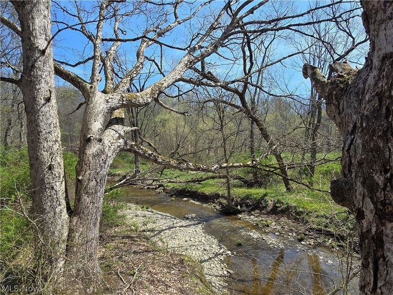 Tische Road, Jefferson, OH 44084 Photo 7