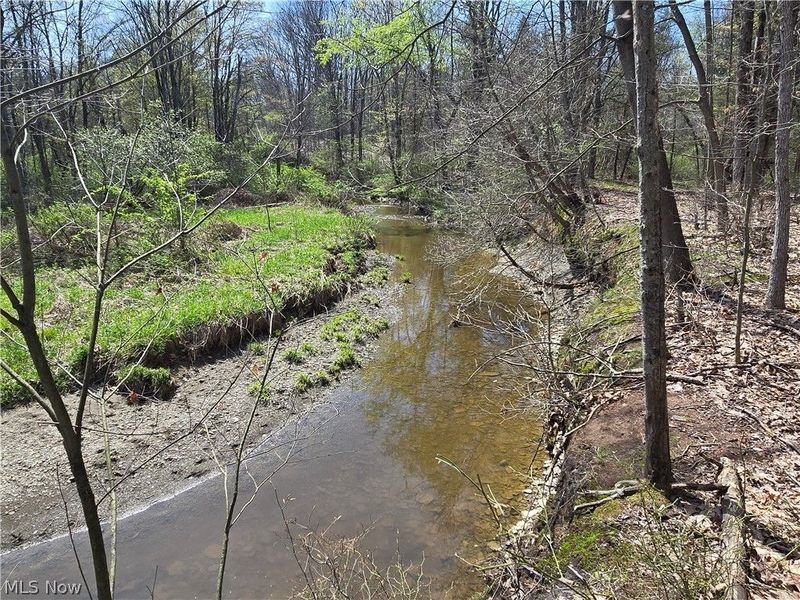 Tische Road, Jefferson, OH 44084 Photo 8