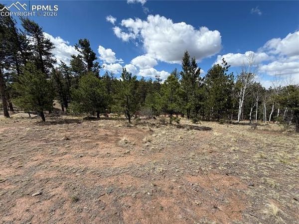 2988 Pikes Peak Drive, Florissant, CO 80816
