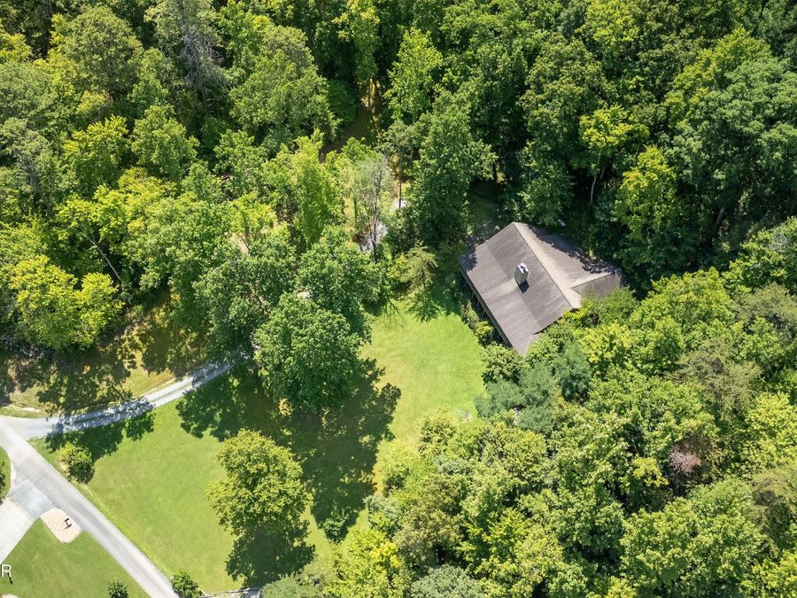 Property Image 60