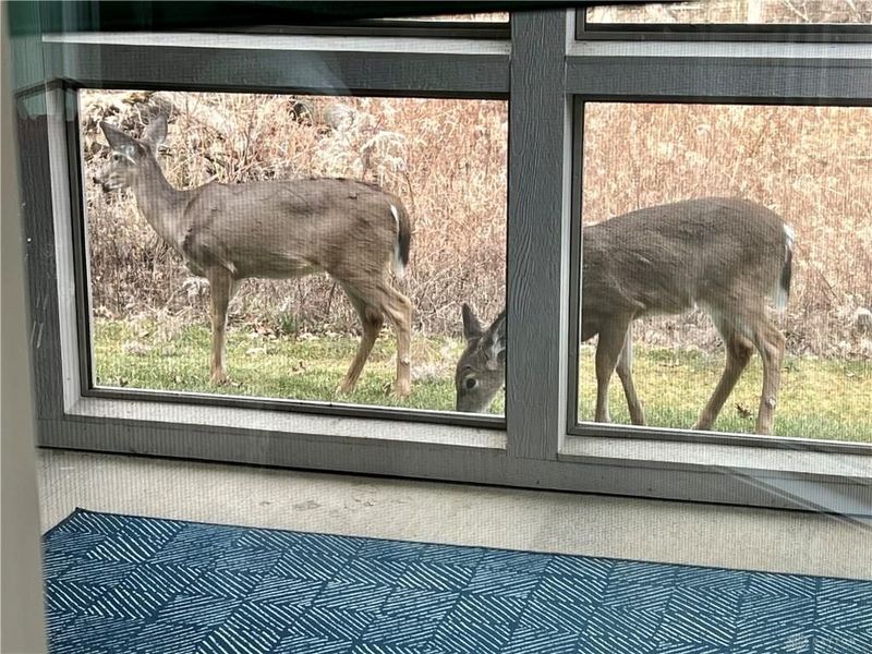 5669 O'Neall Road, Waynesville, OH 45068 Photo 68