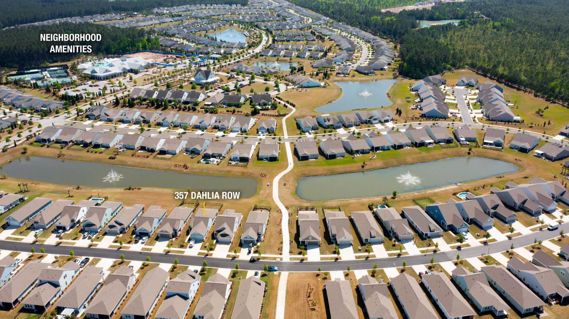 357 Dahlia Row Drive Photo 26