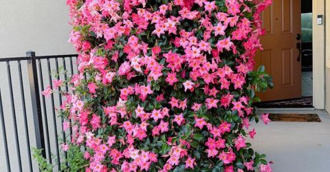 1375 Quigley Ct, Folsom, CA 95630 Photo