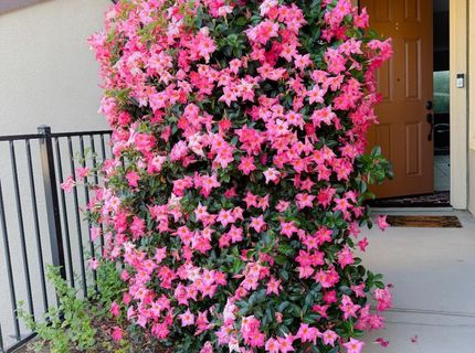 1375 Quigley Ct, Folsom, CA 95630 Photo