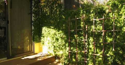 2510 Atlas Ave, Sacramento, CA 95820 Photo