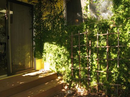 2510 Atlas Ave, Sacramento, CA 95820 Photo