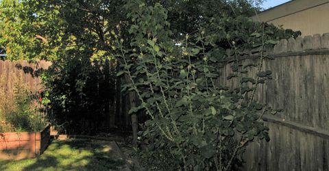 2510 Atlas Ave, Sacramento, CA 95820 Photo