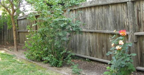 2510 Atlas Ave, Sacramento, CA 95820 Photo