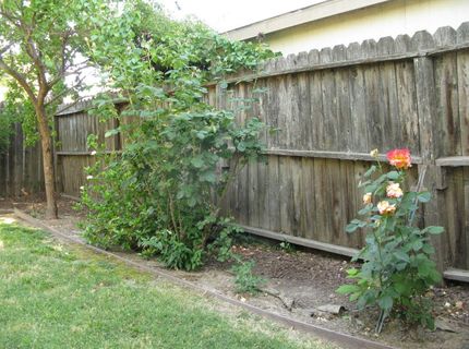 2510 Atlas Ave, Sacramento, CA 95820 Photo