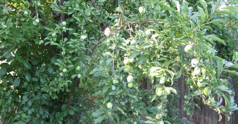 2510 Atlas Ave, Sacramento, CA 95820 Photo