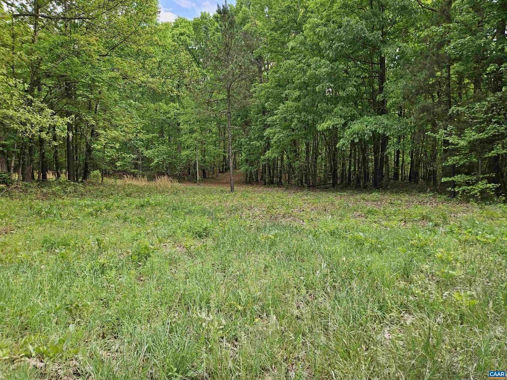 8.65 Ac Pond Rd, Buckingham, VA 23921 Main Photo