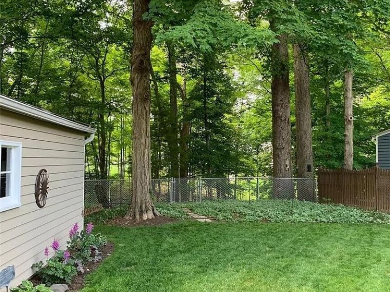 450 Bell Street, Chagrin Falls, OH 44022 Photo 6