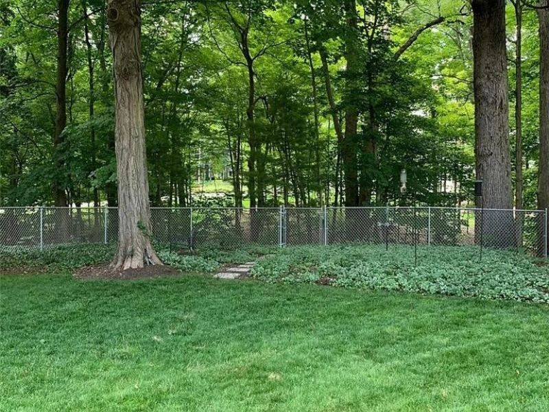 450 Bell Street, Chagrin Falls, OH 44022 Photo 7