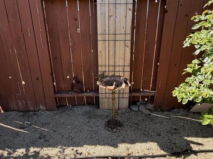 7326 Warhol Drive, Sun Valley, NV 89433 Photo