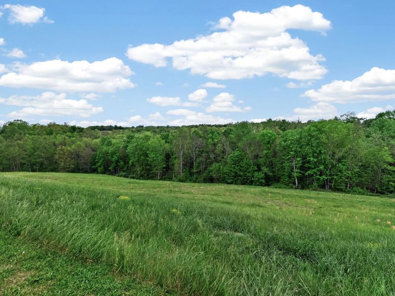 3305 Owenton Road, Corinth, KY 41010 Photo 36
