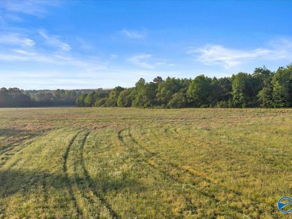 20+/- Alabama Highway 71, Dutton, AL 35744