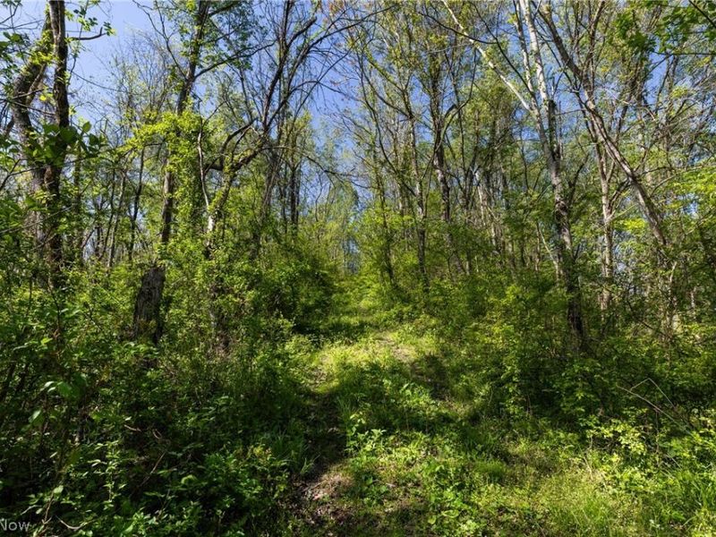 55844 T 132, Powhatan Point, OH 43942 Photo 11