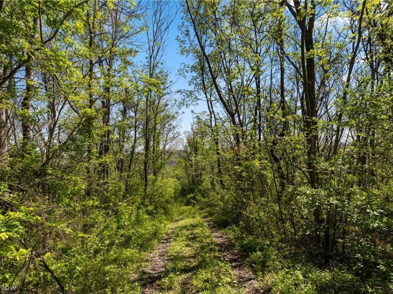 55844 T 132, Powhatan Point, OH 43942 Photo 13