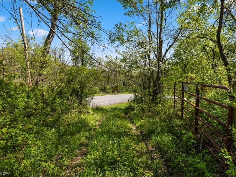 55844 T 132, Powhatan Point, OH 43942 Photo 22