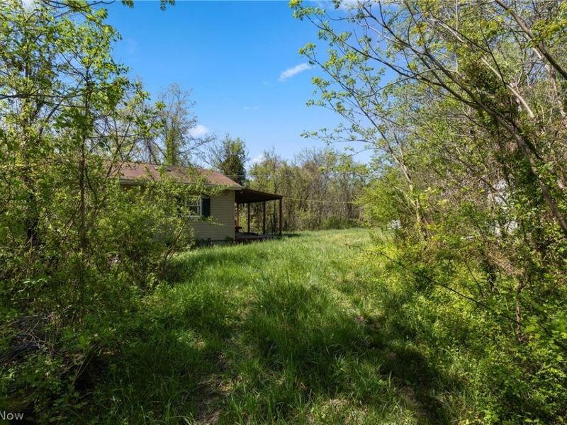 55844 T 132, Powhatan Point, OH 43942 Photo 3