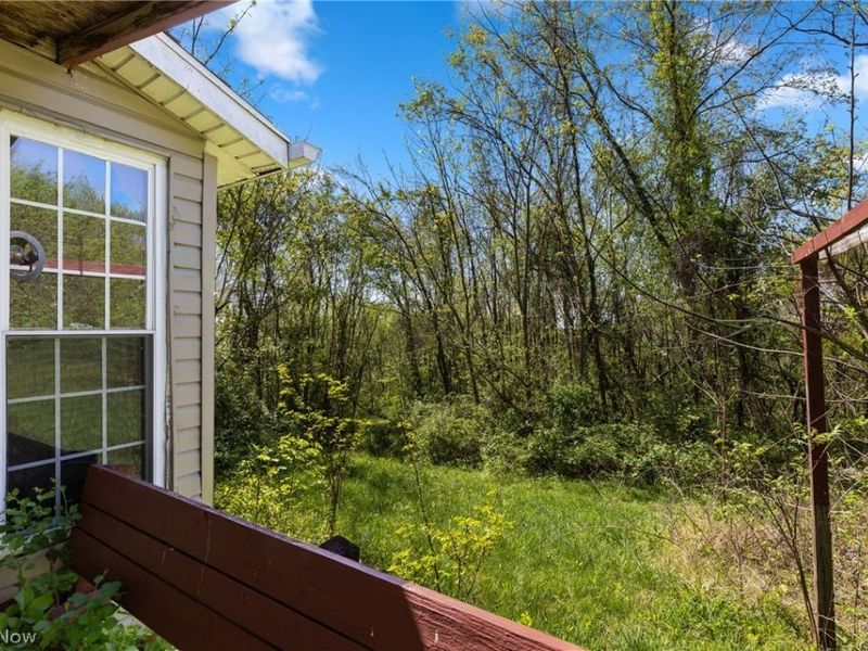 55844 T 132, Powhatan Point, OH 43942 Photo 8