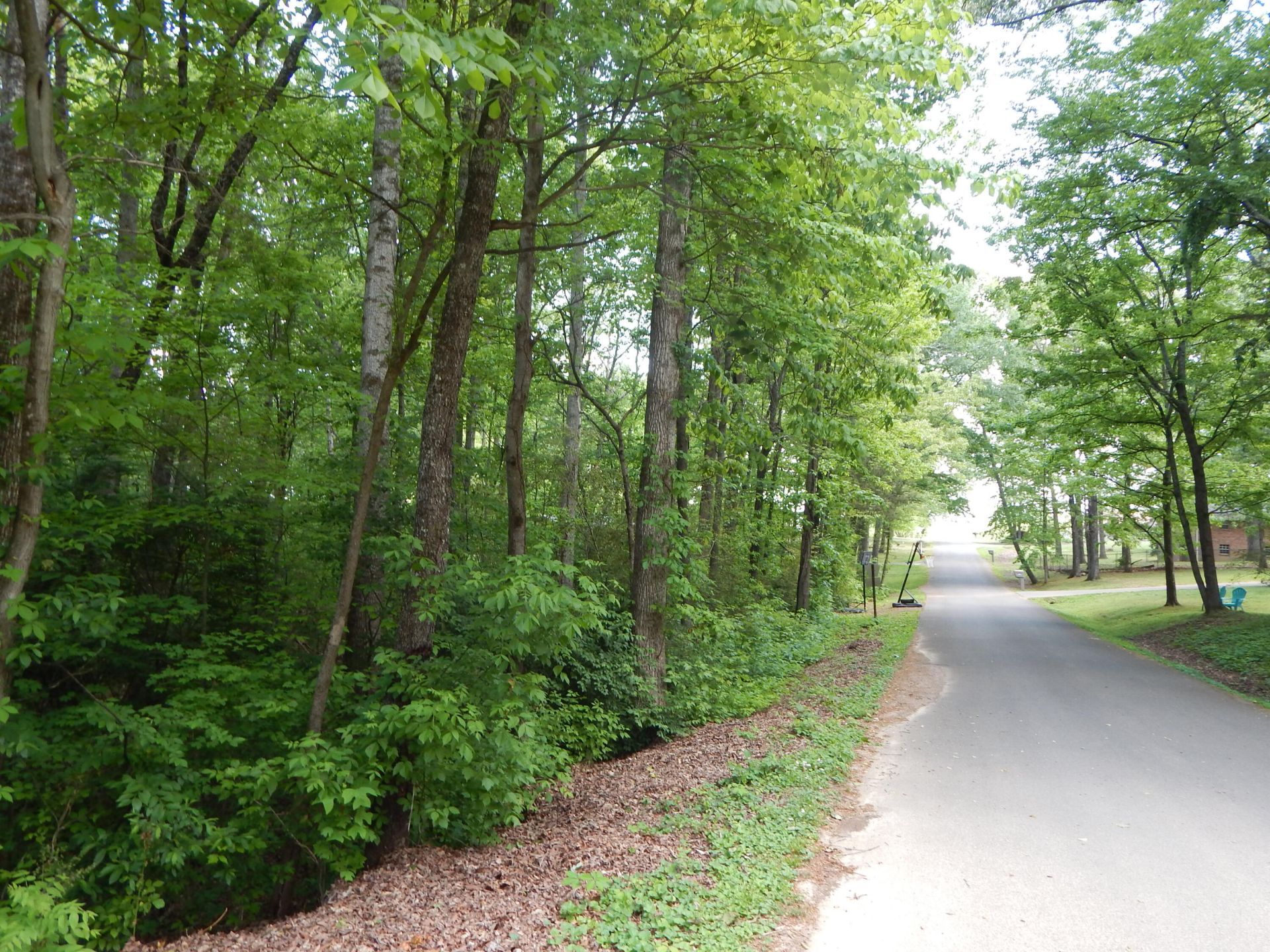 0 County Road 147, Riceville, TN 37370 Main Photo