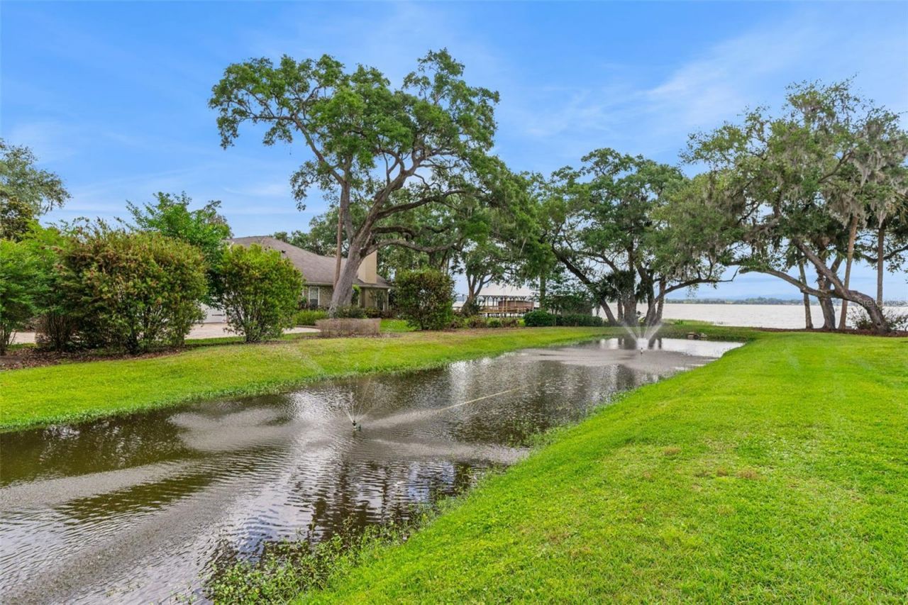 29650 Squirrel Point Road, Tavares, FL 32778 Photo