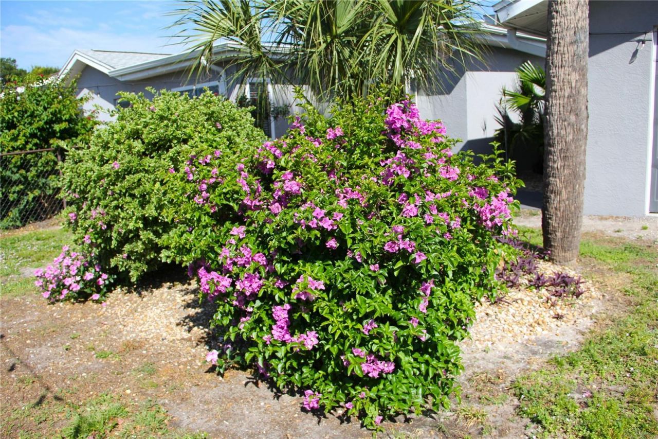 2824 Shannon Drive, Punta Gorda, FL 33950 Photo