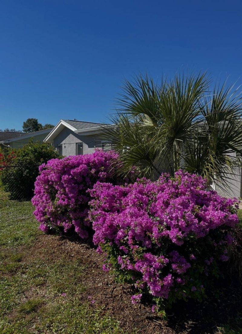 2824 Shannon Drive, Punta Gorda, FL 33950 Photo