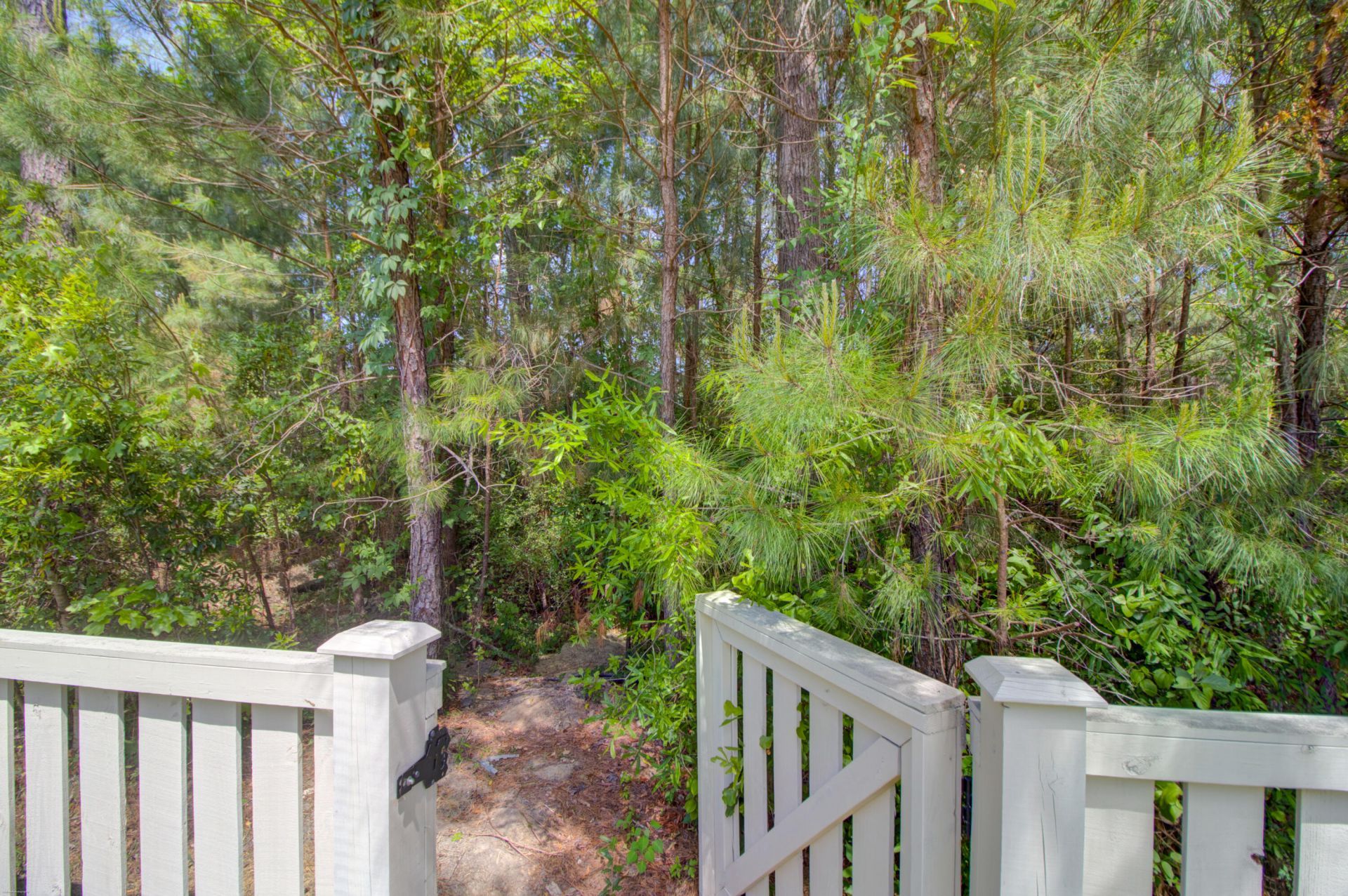 116 Brant Drive Photo 49