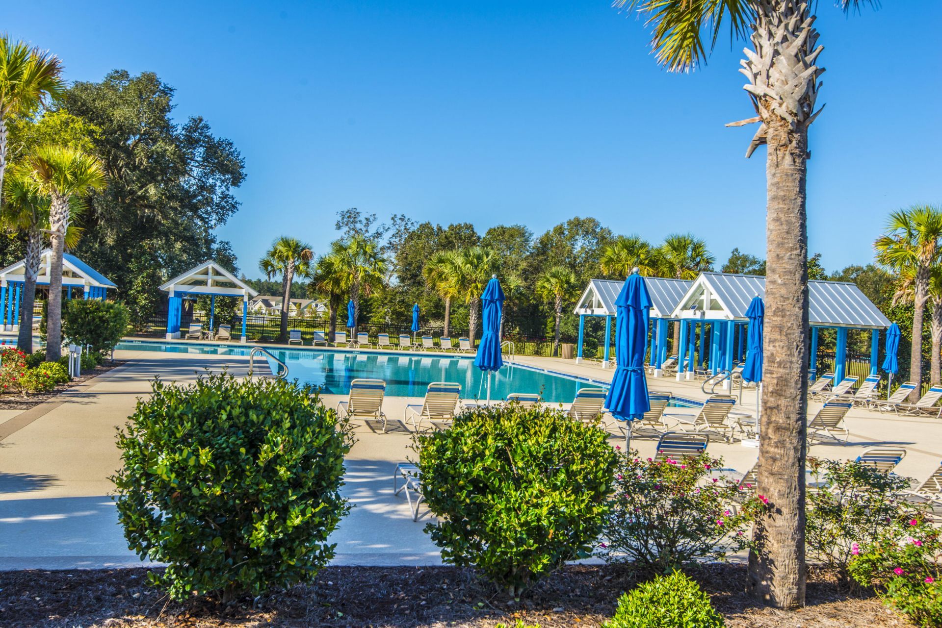 116 Brant Drive Photo 73