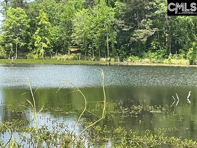 1189 Beech Creek Road  Photo 14