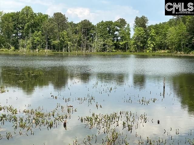 1189 Beech Creek Road  Photo 15