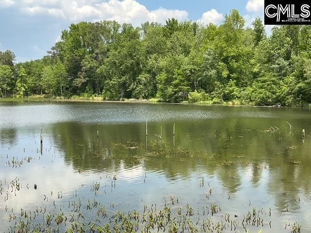 1189 Beech Creek Road  Photo 16