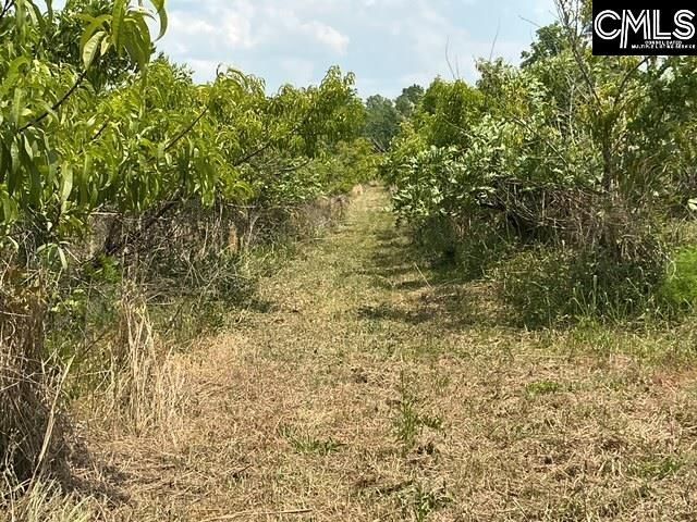 1189 Beech Creek Road  Photo 17