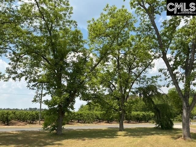 1189 Beech Creek Road  Photo 18